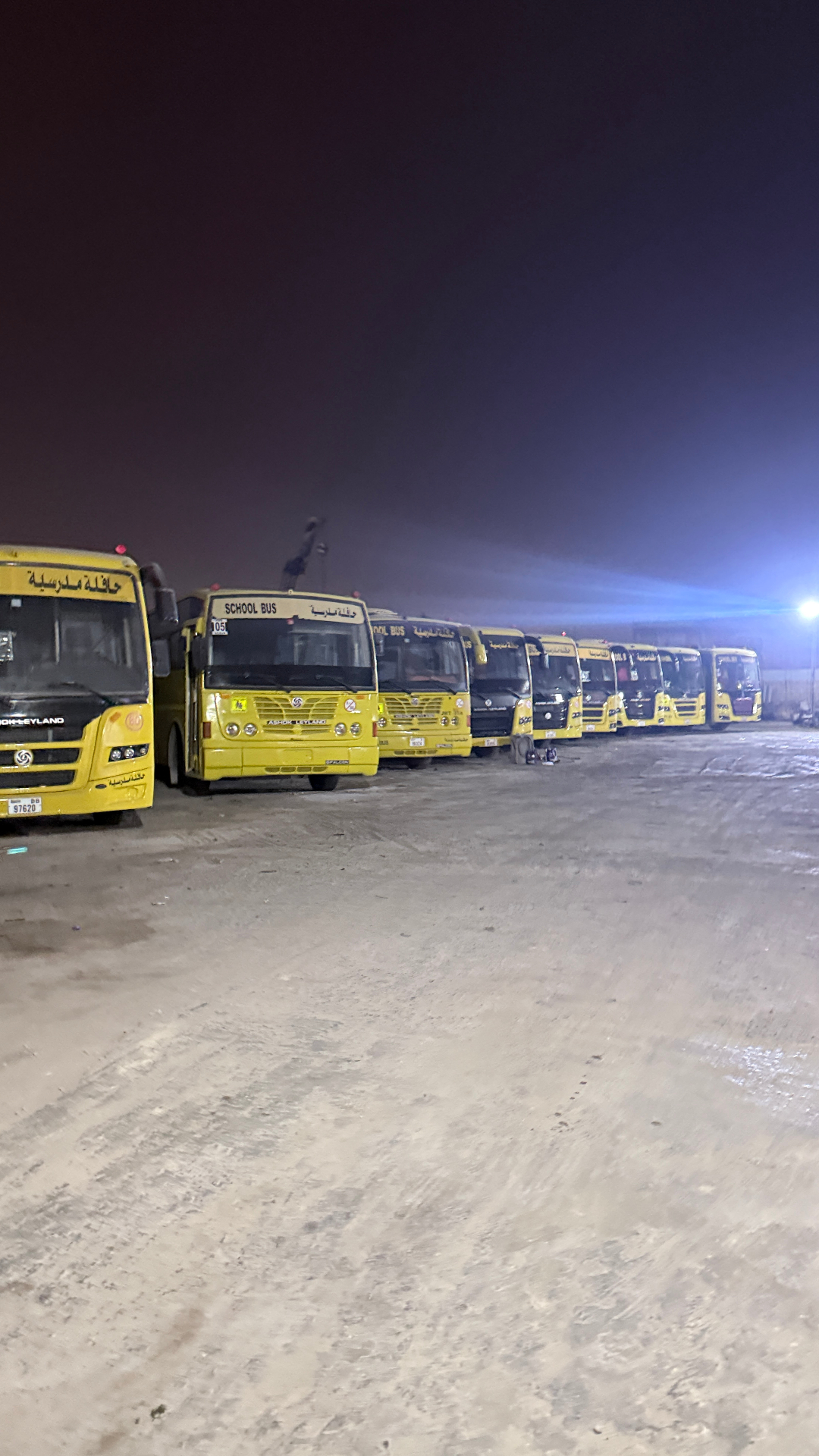 Yard lineup — 8+ school buses ready for routes
