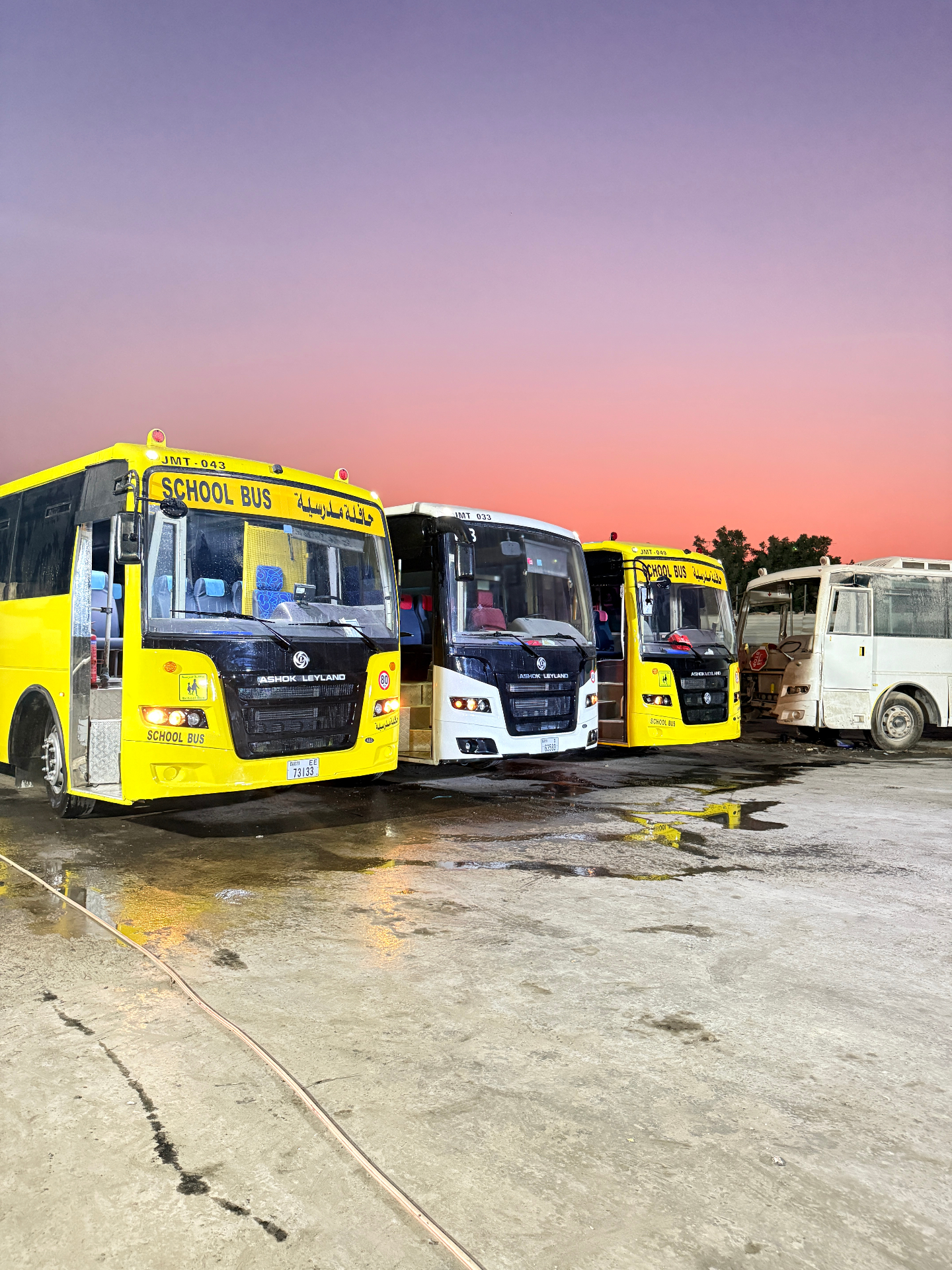 Sunset lineup — Ashok Leyland school buses